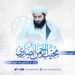 د منبر اتل، شهید مولانا مجیب الرحمن انصاري ژوند او کارنامو ته کتنه