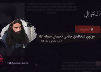 د شهيد مولوي عبدالحق حقاني( نعمان) تقبله الله ژوند او مبارزې ته لنډه کتنه: