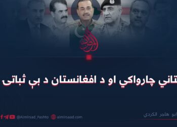 پاکستاني چارواکي او د افغانستان د بې ثباتۍ هڅې