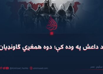 د داعش په وده کې؛ دوه همغږي ګاونډیان