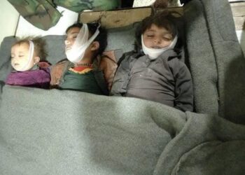 د پکتیکا په برمل ولسوالۍ کې د پاکستان د تیري ګر پوځ د برید په اړه تازه جزئیات