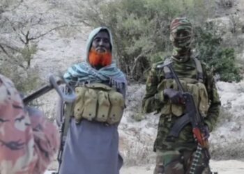 د صومالیا لپاره د داعشیانو والي د جګړې له صحنې تښتېدلی