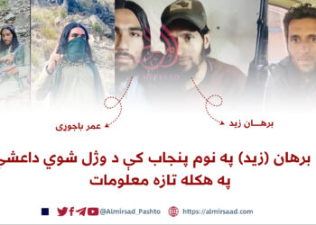 د برهان (زید) په نوم پنجاب کې د وژل شوي داعشي په هکله تازه معلومات