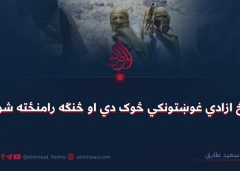 بلوڅ ازادي غوښتونکي څوک دي او څنګه رامنځته شول؟