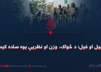 ابابیل او فيل؛ د ځواک، وزن او نظریې یوه ساده کیسه!