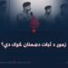 زموږ د ثبات دښمنان څوک دي؟