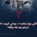 د پاکستاني پوځ جنایت؛ د پوځي کړیو د ناکامۍ او دروغو یوه بله بېلګه!