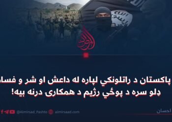د پاکستان د راتلونکي لپاره له داعش او شر و فساد ډلو سره د پوځي رژیم د همکارۍ درنه بیه!