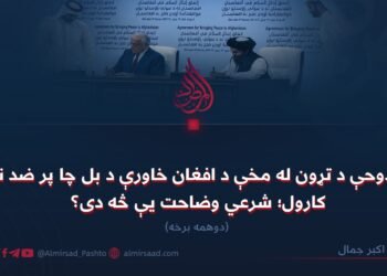د دوحې د تړون له مخې د افغان خاورې د بل چا پر ضد نه کارول؛ شرعي وضاحت یې څه دی؟ دوهمه برخه